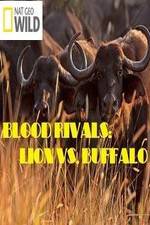 Watch National Geographic - Blood Rivals: Lion vs. Buffalo Viooz