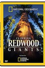 Watch National Geographic Explorer: Climbing Redwood Giants Viooz