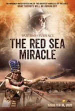 Watch Patterns of Evidence: The Red Sea Miracle Viooz