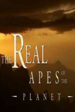 Watch The Real Apes of the Planet Viooz