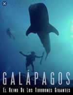 Watch Galapagos: Realm of Giant Sharks Viooz