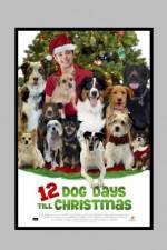 Watch 12 Dog Days of Christmas Viooz