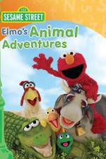 Watch Elmos Animal Adventures Viooz