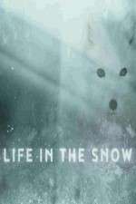 Watch Life in the Snow Viooz