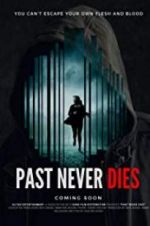 Watch The Past Never Dies Viooz
