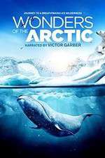 Watch Wonders of the Arctic 3D Viooz