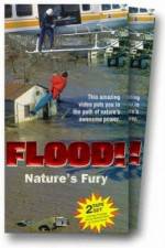 Watch Flood Viooz