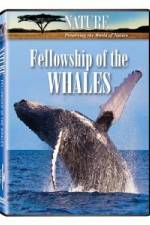Watch Fellowship Of The Whales Viooz