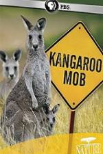 Watch Kangaroo Mob Viooz