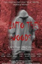 Watch Into the Woods Viooz