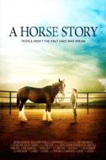 Watch A Horse Story Viooz