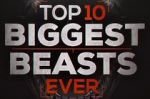 Watch Top 10 Biggest Beasts Ever Viooz