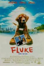 Watch Fluke Viooz