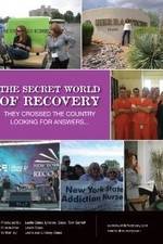 Watch The Secret World of Recovery Viooz