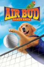 Watch Air Bud: Spikes Back Viooz