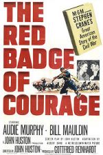 Watch The Red Badge of Courage Viooz