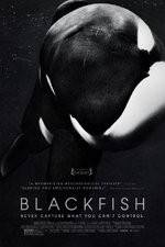 Watch Blackfish Viooz