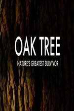 Watch Oak Tree Natures Greatest Survivor Viooz