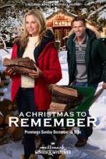 Watch A Christmas to Remember Viooz