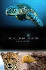 Watch Turtle, Eagle, Cheetah: A Slow Odyssey Viooz