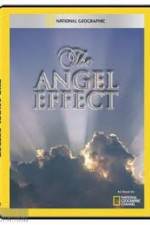 Watch National Geographic Explorer - The Angel Effect Viooz