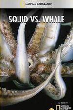 Watch National Geographic Wild - Squid Vs Whale Viooz