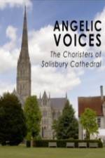 Watch Angelic Voices The Choristers of Salisbury Cathedral Viooz