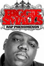 Watch Biggie Smalls Rap Phenomenon Viooz