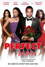 Watch The Perfect Man Viooz