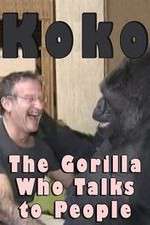 Watch Koko: The Gorilla Who Talks to People Viooz