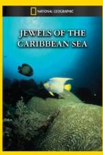 Watch National Geographic Jewels of the Caribbean Sea Viooz