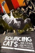 Watch Bouncing Cats Viooz
