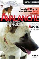 Watch Avalanche Angels Viooz