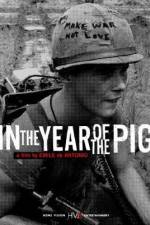 Watch In the Year of the Pig Viooz