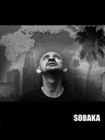 Watch Sobaka Viooz
