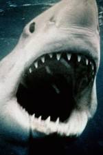 Watch Sharkmania: The Top 15 Biggest Baddest Bloodiest Bites Viooz