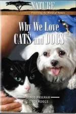 Watch Why We Love Cats And Dogs Viooz