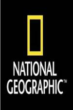 Watch National Geographic Wild War Elephants Viooz