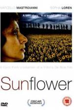 Watch Sunflower Viooz