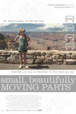 Watch Small Beautifully Moving Parts Viooz