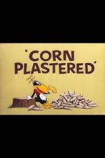 Watch Corn Plastered (Short 1951) Viooz