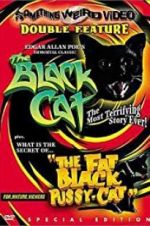 Watch The Black Cat Viooz