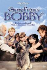 Watch Greyfriars Bobby The True Story of a Dog Viooz