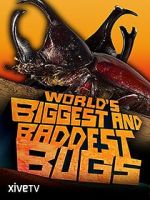 Watch World\'s Biggest and Baddest Bugs Viooz