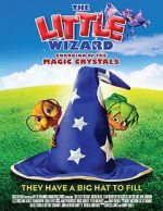 Watch The Little Wizard: Guardian of the Magic Crystals Viooz