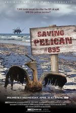 Watch Saving Pelican 895 (Short 2011) Viooz
