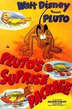 Watch Pluto\'s Surprise Package Viooz