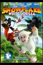 Watch Snowflake, the White Gorilla Viooz