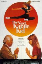 Watch The Next Karate Kid Viooz