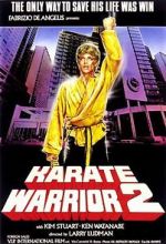 Watch Karate Warrior 2 Viooz